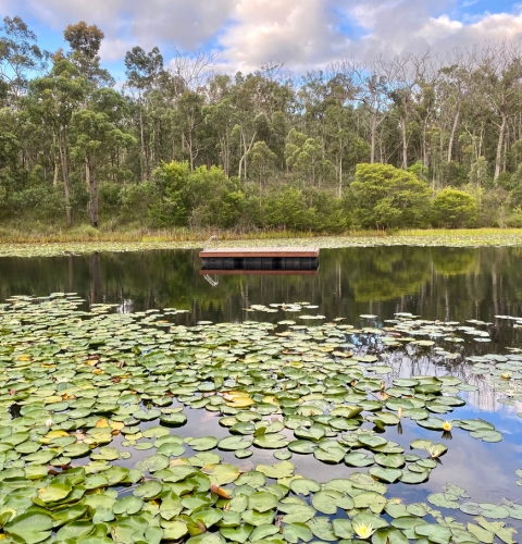 Untitled design (89)