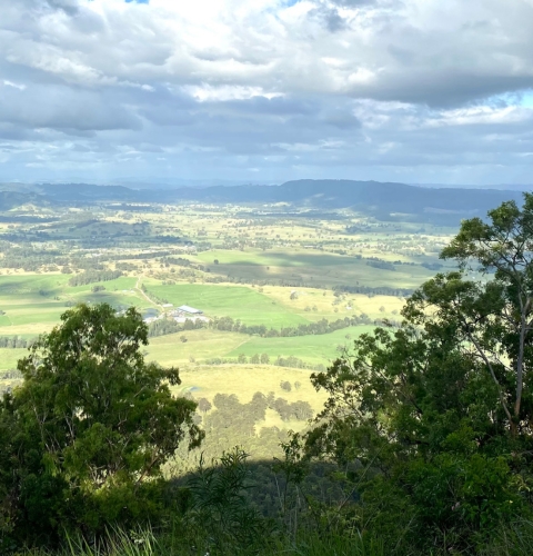 Untitled design (90)